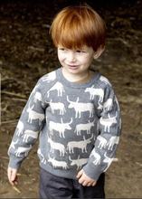Carica l'immagine nel visualizzatore di Gallery, Pullover bambino Sense Organics