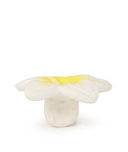 Carica l'immagine nel visualizzatore di Gallery, Chewy il fiore