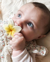 Carica l'immagine nel visualizzatore di Gallery, Chewy il fiore