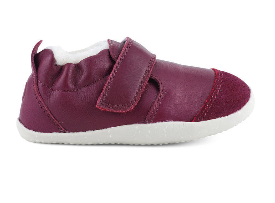 Xplorer Arctic Boysenberry