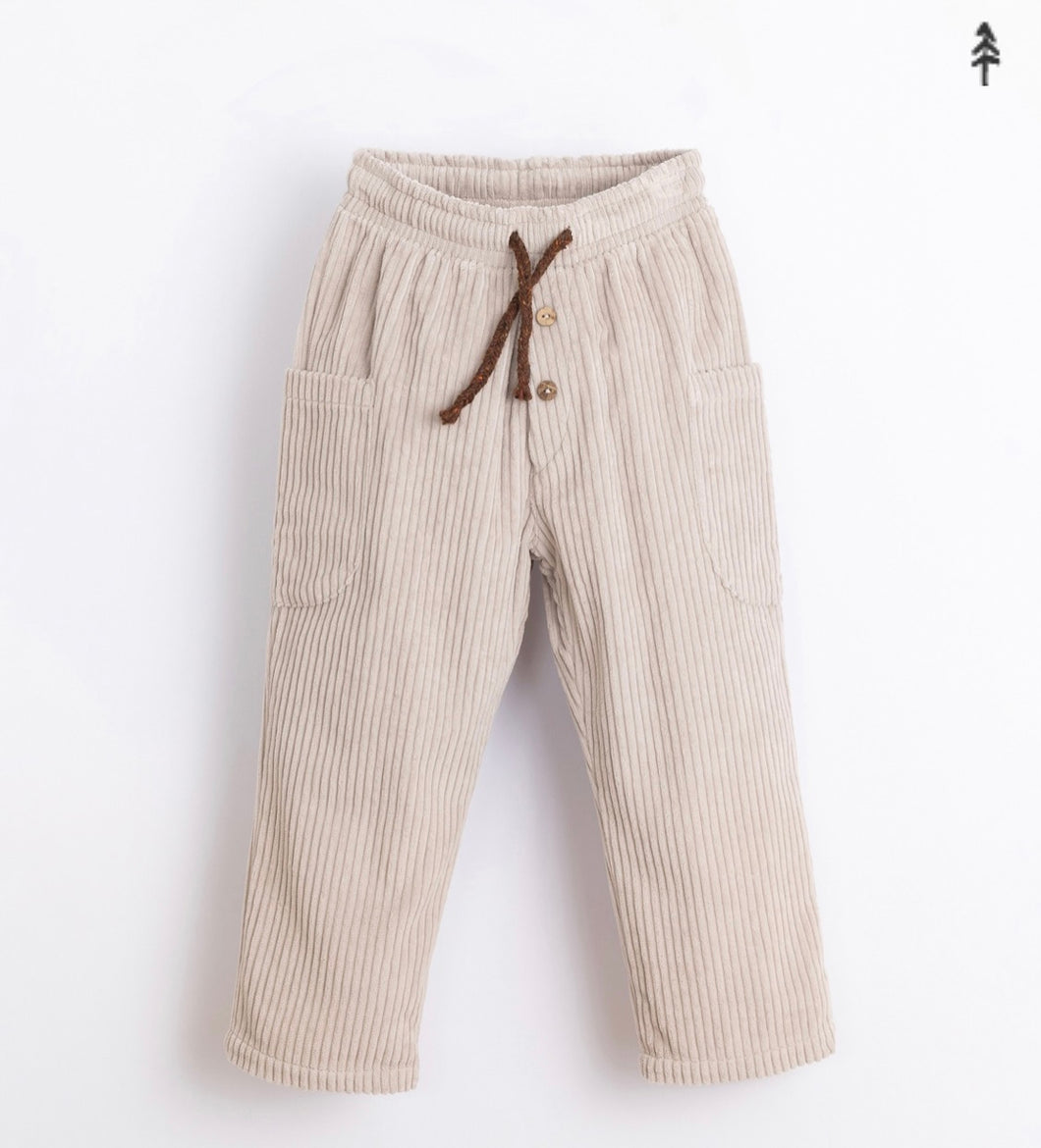 Pantalone velluto