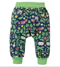 Carica l'immagine nel visualizzatore di Gallery, Pantalone Frugi neonata
