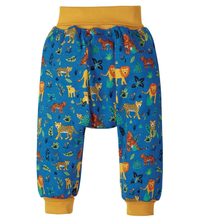 Carica l'immagine nel visualizzatore di Gallery, Pantalone Frugi neonato
