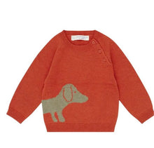 Carica l'immagine nel visualizzatore di Gallery, Maglione neonato Sense Organics

