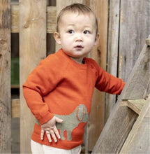 Carica l'immagine nel visualizzatore di Gallery, Maglione neonato Sense Organics
