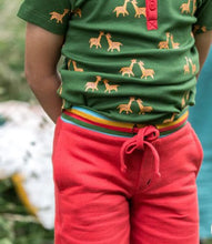 Carica l'immagine nel visualizzatore di Gallery, Pantalone unisex Little Green Radicals
