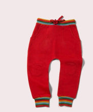 Carica l'immagine nel visualizzatore di Gallery, Pantalone unisex Little Green Radicals
