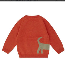 Carica l'immagine nel visualizzatore di Gallery, Maglione neonato Sense Organics
