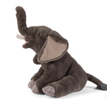 Carica l&#39;immagine nel visualizzatore di Gallery, Peluche elefante grande, tout autour du monde - Moulin Roty
